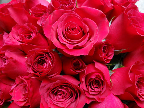 Valentines&#39;s Day