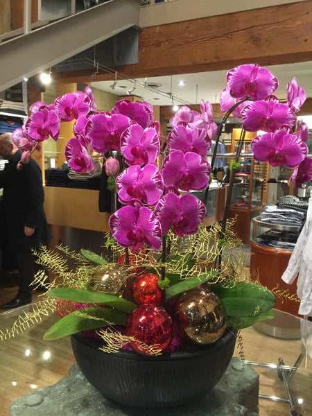 Phalaenopsis orchid - Firebird with ornaments