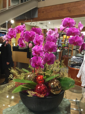Phalaenopsis orchid - Firebird with ornaments