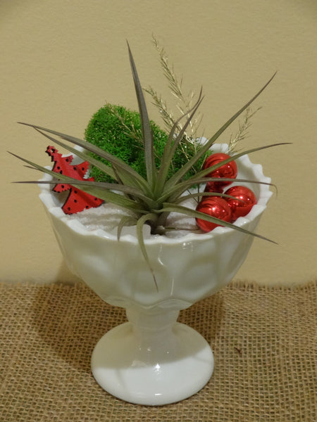 Planter