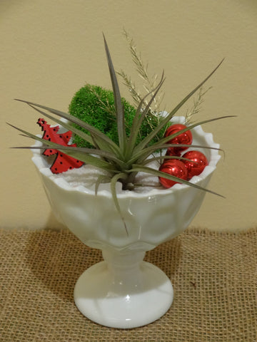 Planter